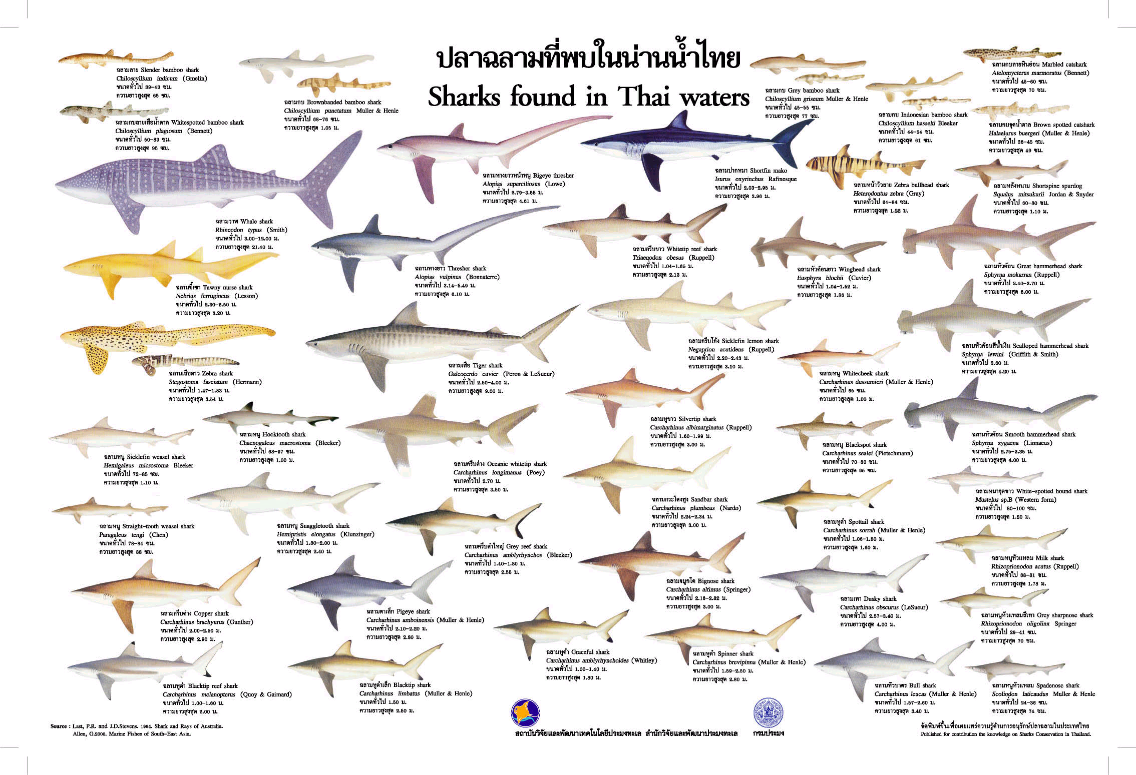 Species Identification Chart