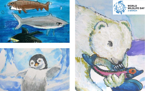 Global Art Contest In Celebration Of World Wildlife Day 2019 Cites