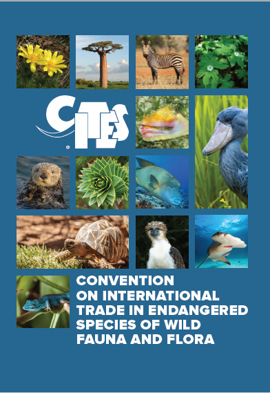 What Is Cites Cites - 