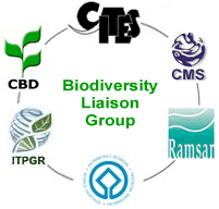 Joint websites of the biodiversity-related conventions