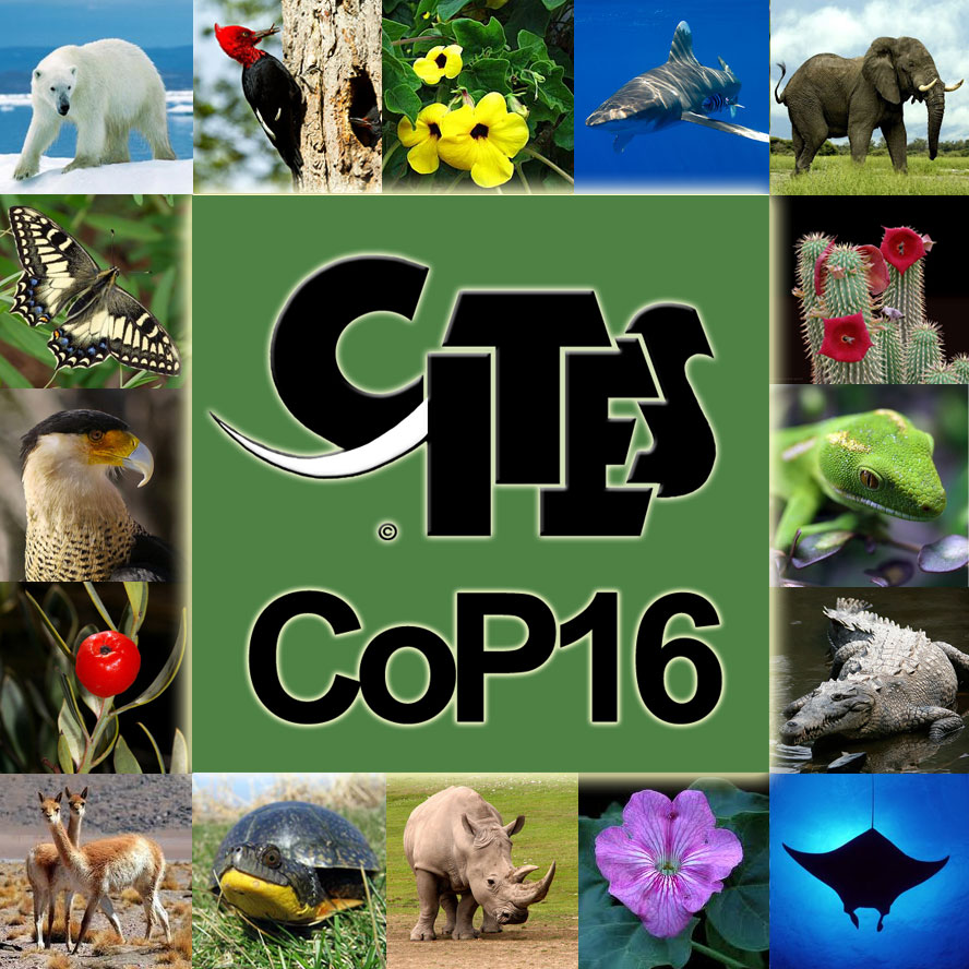 New list of proposals for the CITES world wildlife conference are available  online today | CITES