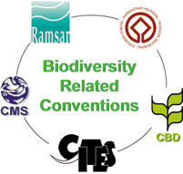 Joint websites of the biodiversity-related conventions
