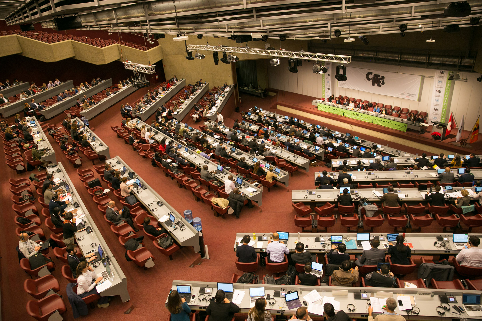 CITES Standing Committee to meet in March 2022