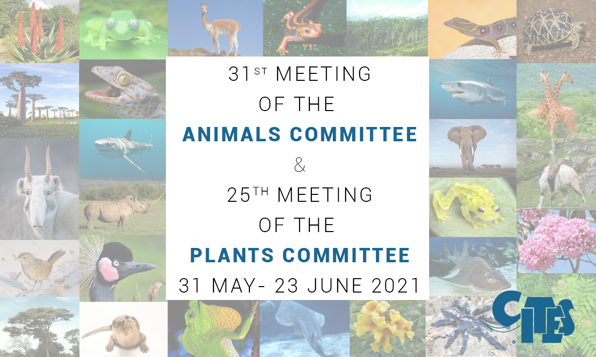 Animals and Plants Committees set to meet online.