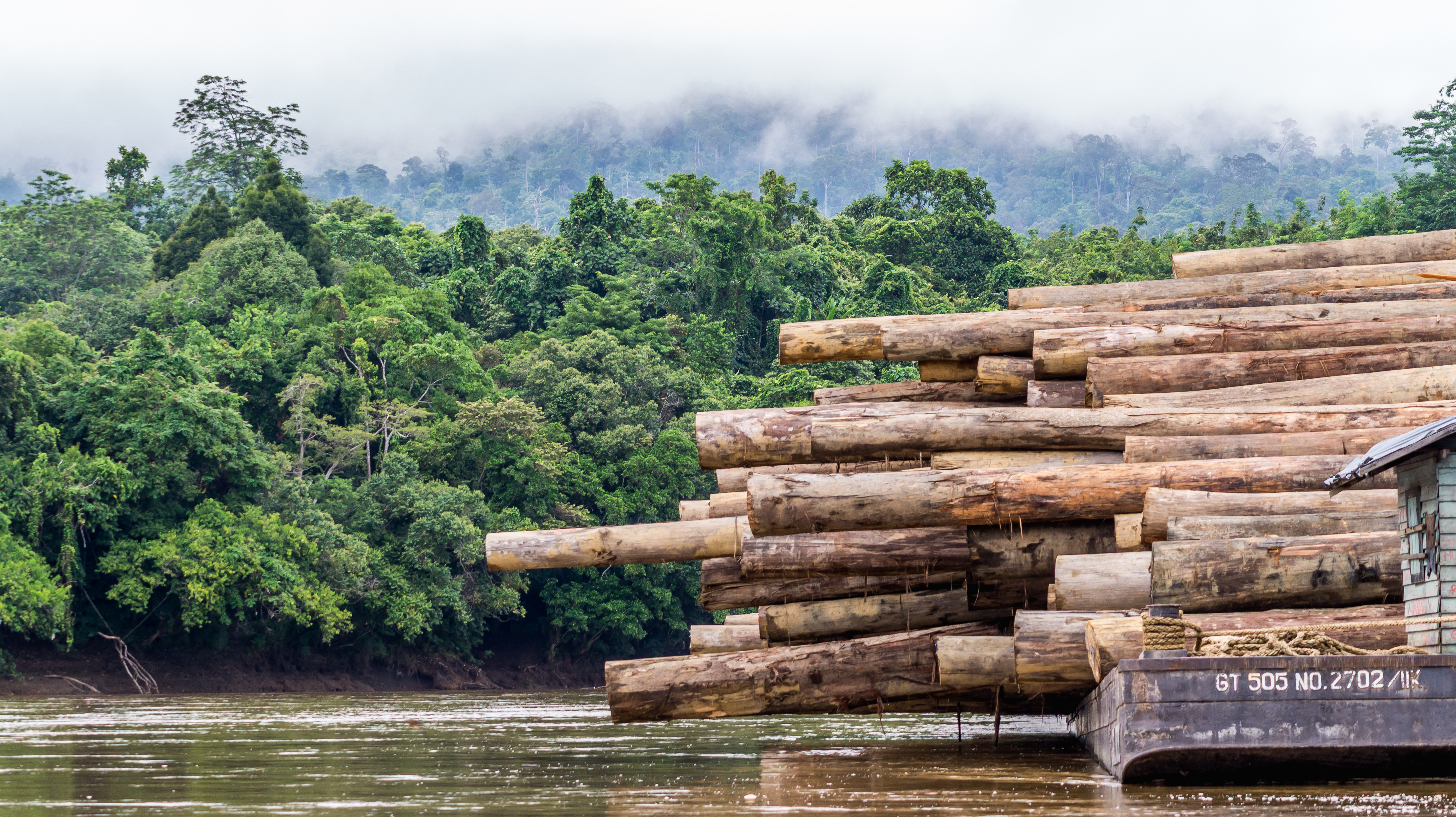 timber piled on boat in river with forest landscape in background