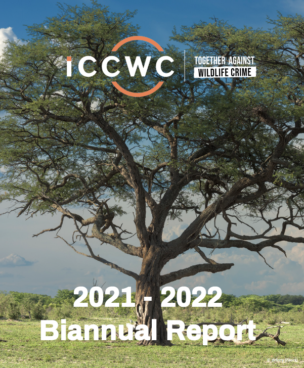 Cover of ICCWC Biannual Report 2021-2022_large tree photo