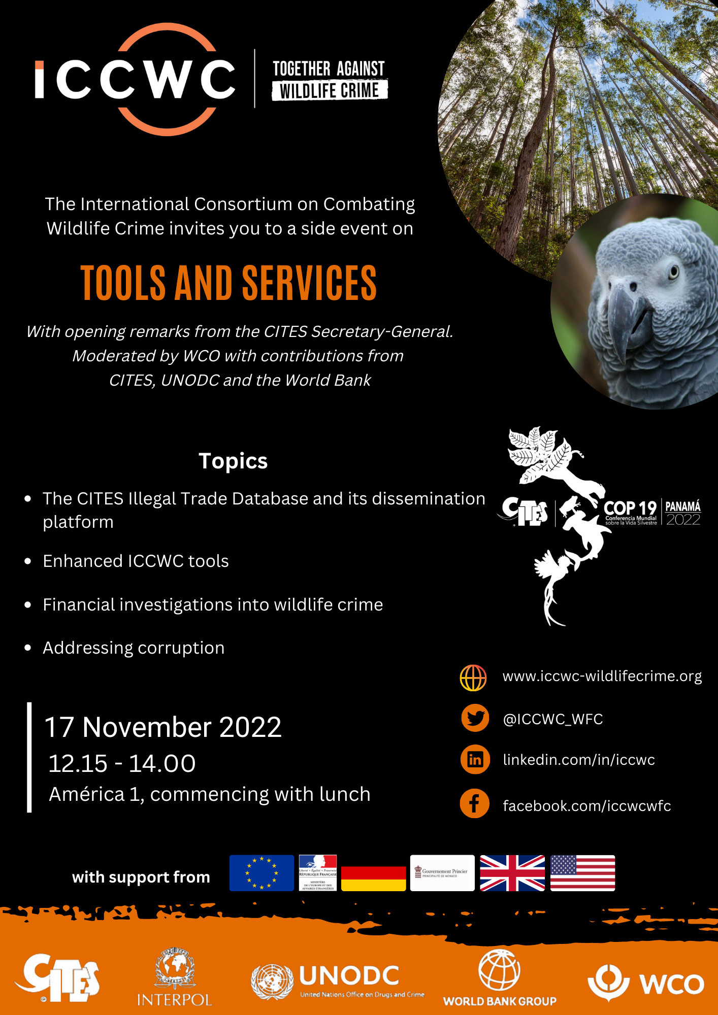 Flyer_ICCWC_Tools_Services.png 