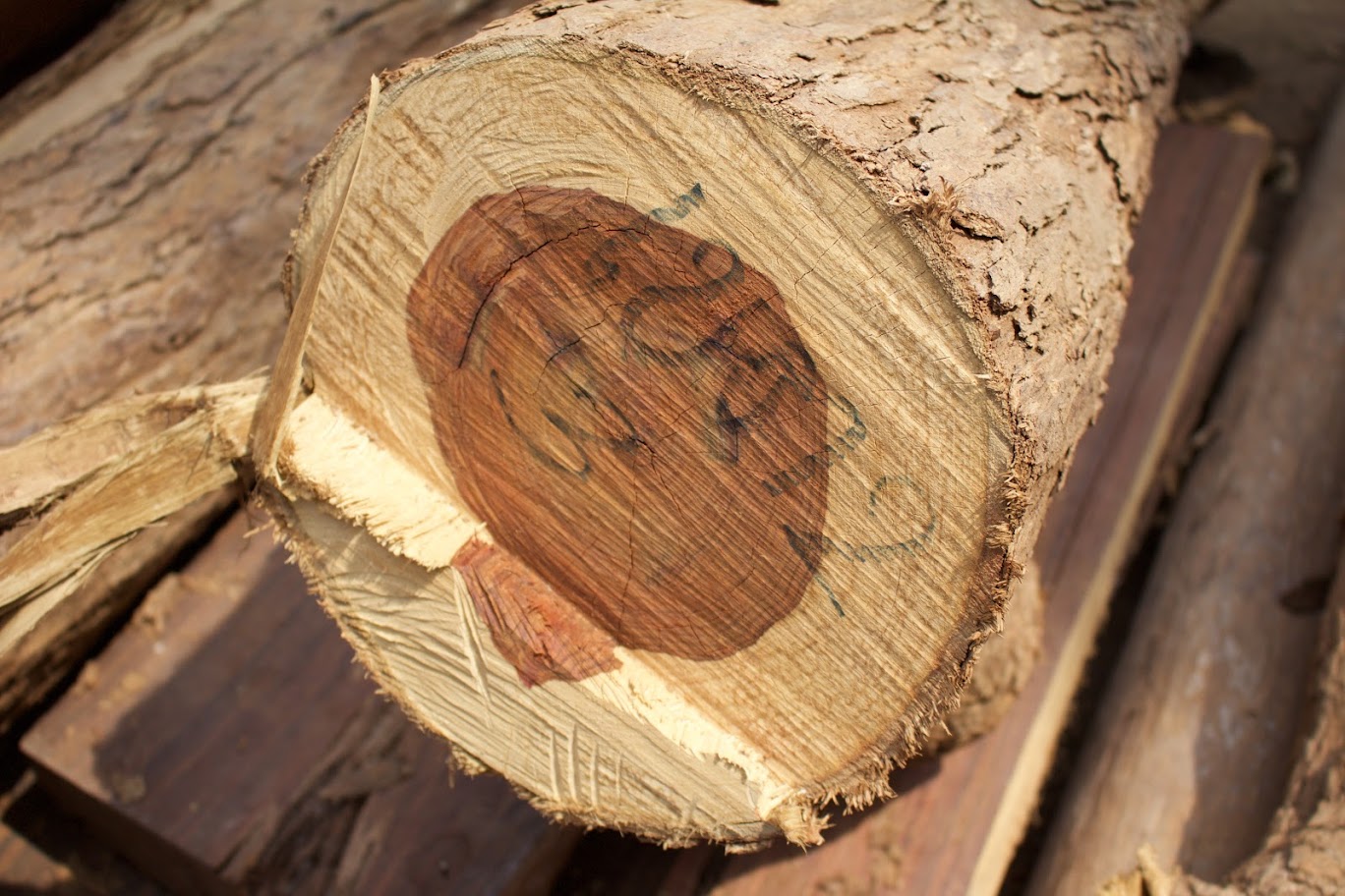 CITES Timber Inspection Workshop 25-29 October 2021