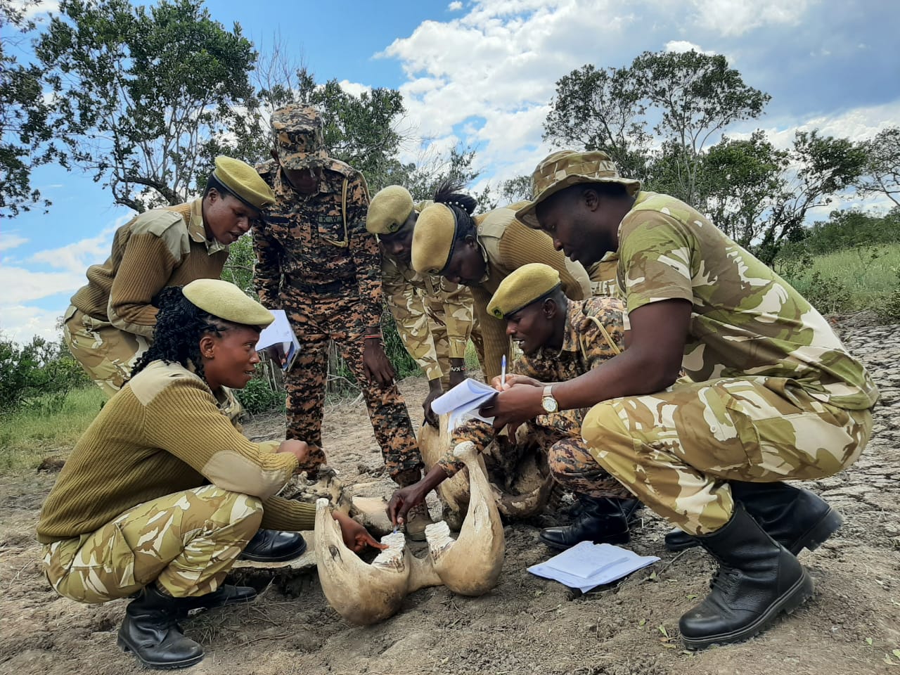 rangers_CITES MIKE programme_Kenya