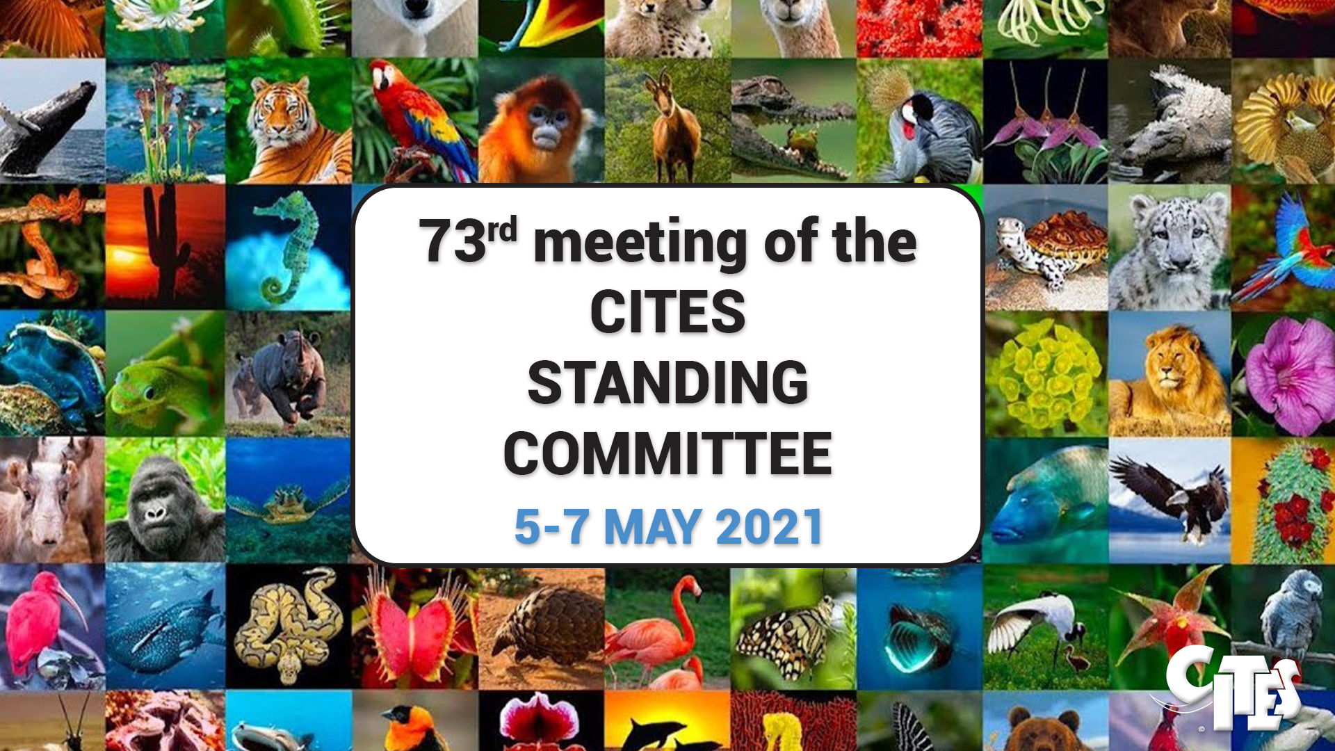 73rd meeting of the CITES Standing Committee