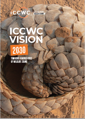 ICCWC Vision 2030 - cover