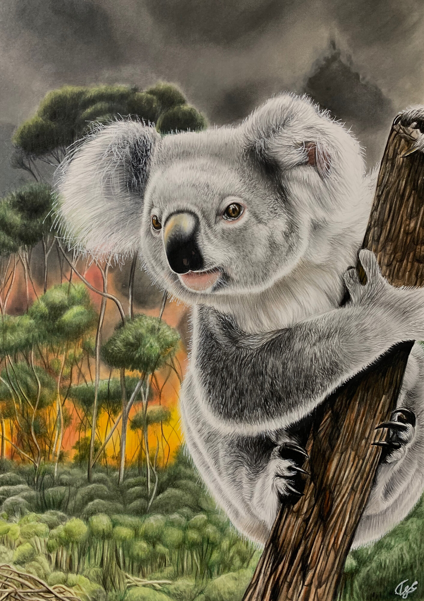 In Celebration of World Wildlife Day 2021, IFAW Unites with CITES and UNDP  for an International Youth Art Contest | CITES