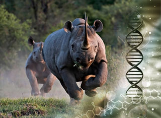 Forensics to support the fight against wildlife crime | CITES