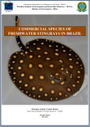 stingrays_brazil