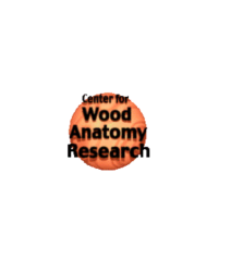 Center_for_Wood_Anatomy_Research