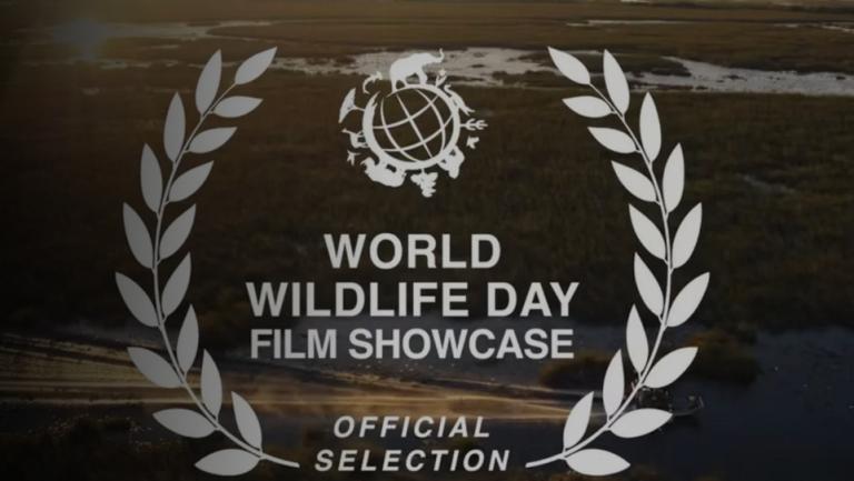 2023 World Wildlife Day Film Showcase