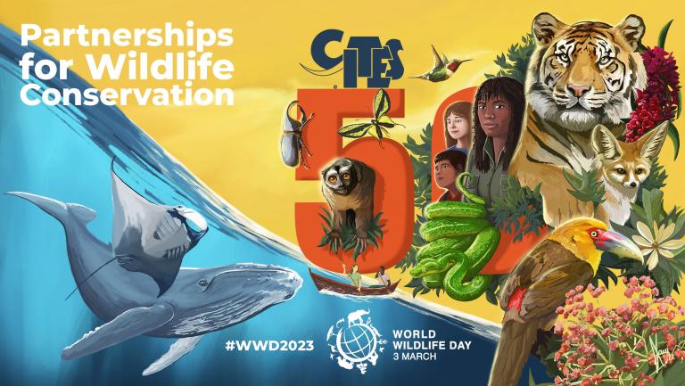 WWD logo
