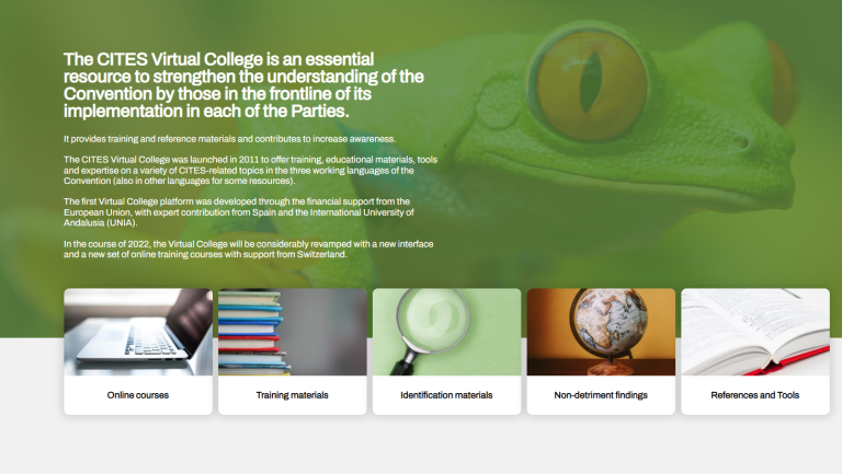 Virtual College Homepage