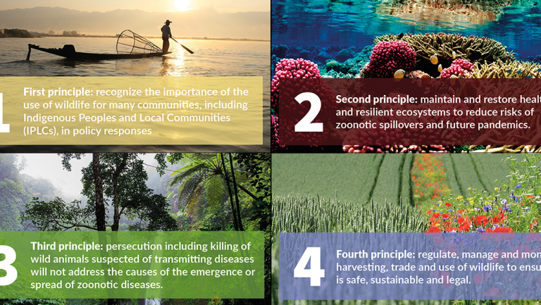 All four principles of the CPW Statement