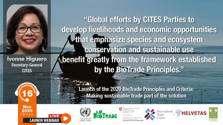 Ivonne Higuero Quote BioTrade Launch