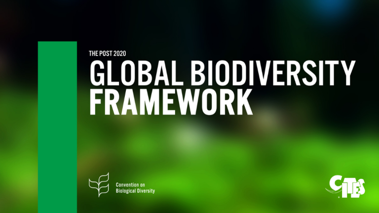 Graphic Image of Psot-2020 Global Biodiversity Framework for CBD CoP15