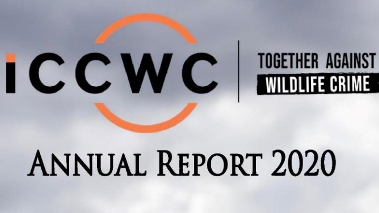 ICCWC publishes Annual Report 2020