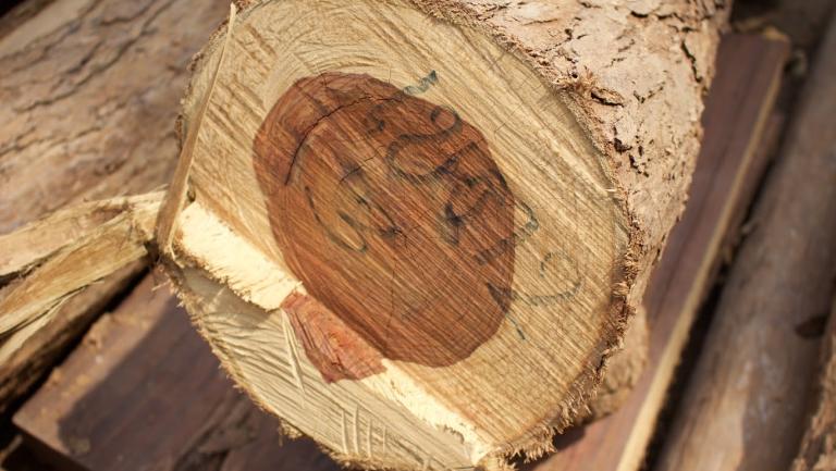 CITES Timber Inspection Workshop 25-29 October 2021