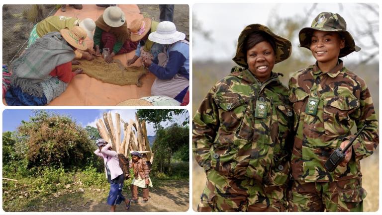 Women in wildlife