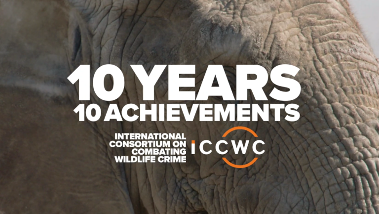 ICCWC ten years slider