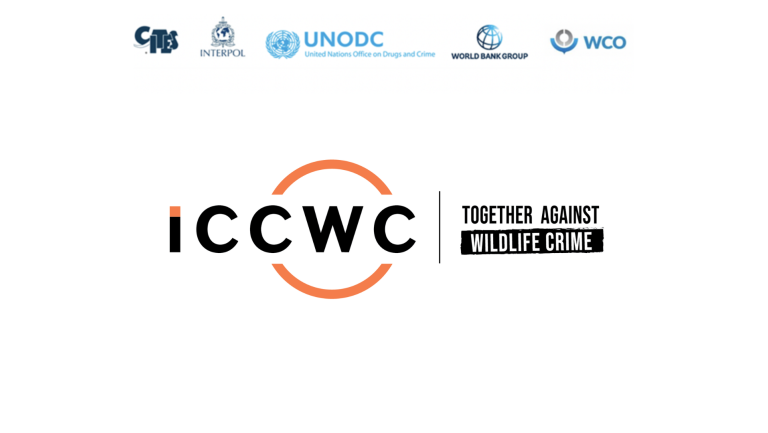 ICCWC Logo