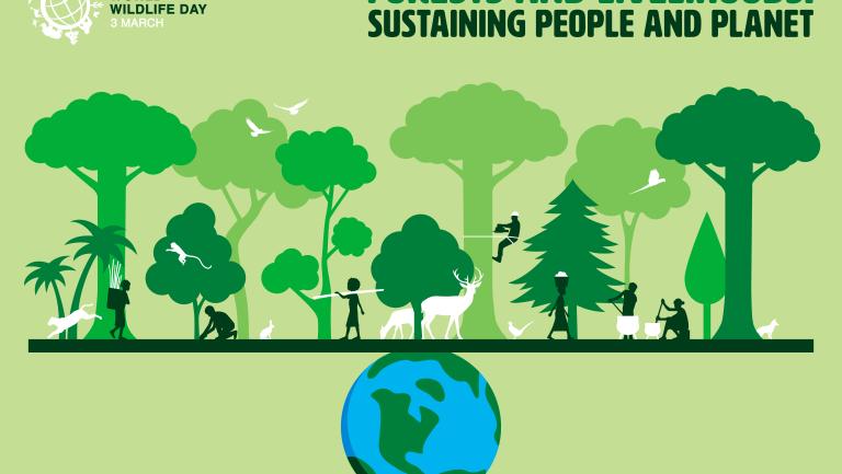 World Wildlife Day 2021 wrap-up