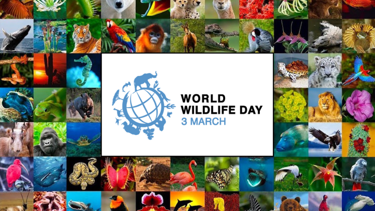 World Wildlife Day 2021 Theme Announced