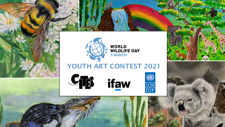 WWD2021 Youth Art Contest launched