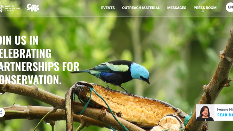 www.wildlifeday.org