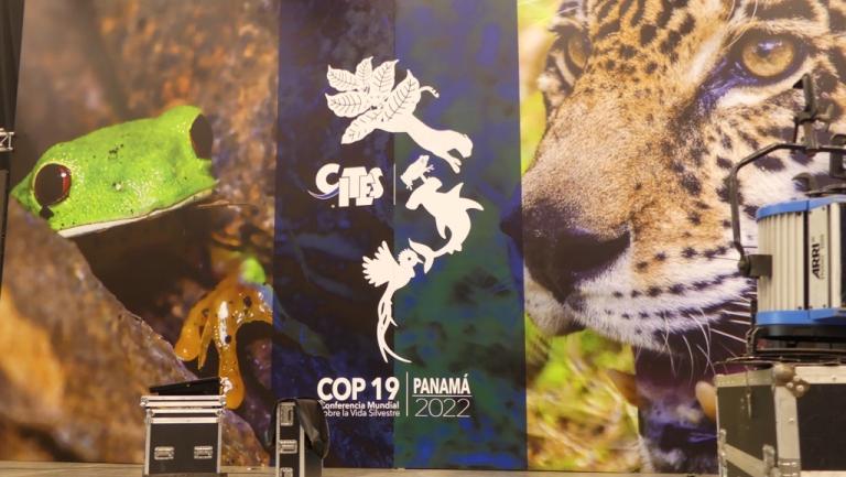 Backdrop to CoP19