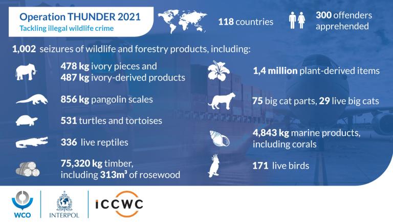 Global arrests and seizures: WCO-INTERPOL Operation Thunder 2021 strikes wildlife and timber trafficking networks
