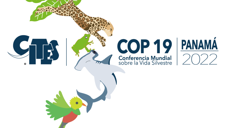 CoP19 Logo
