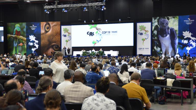 CoP19 Day 1