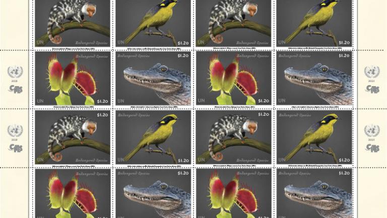 UN Stamps celebrate endemic CITES species