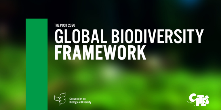 Graphic Image of Psot-2020 Global Biodiversity Framework for CBD CoP15