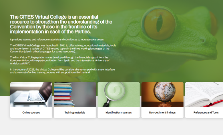 Virtual College Homepage